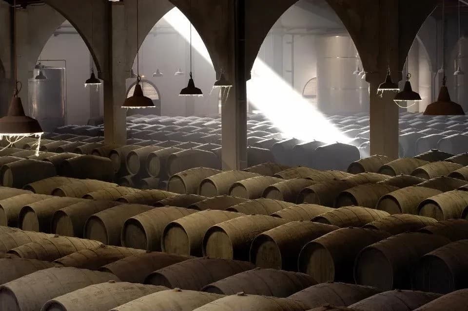 BODEGAS REAL TESORO - imagen 4