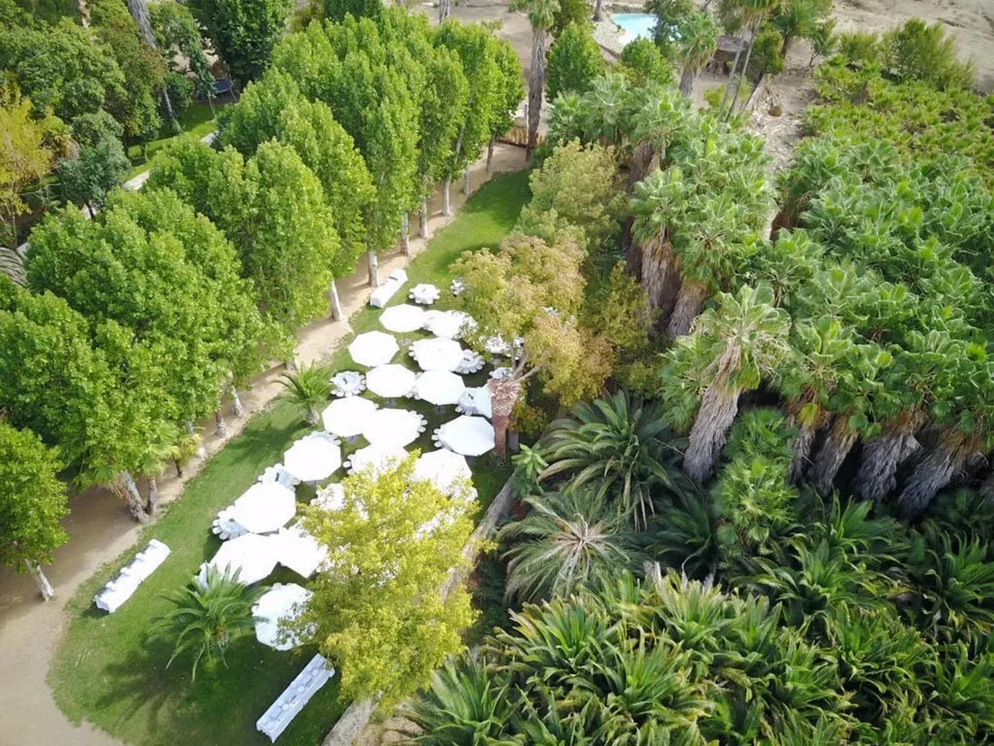 FINCA LOS FRESNOS - imagen 3