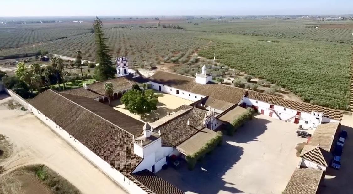HACIENDA TORREQUEMADA - imagen 2