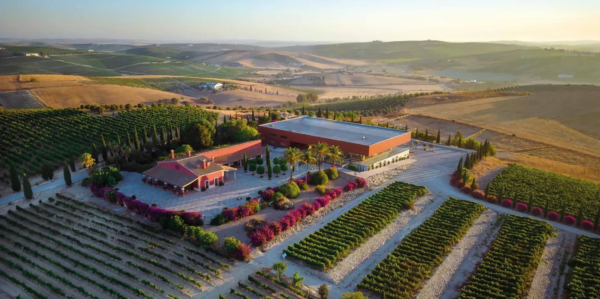 BODEGAS LUIS PEREZ